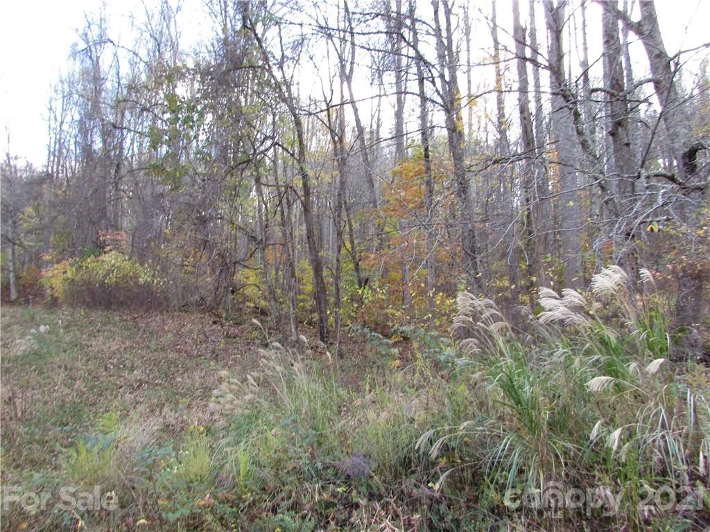E- 3 Red Wolf Run None - Photo 2