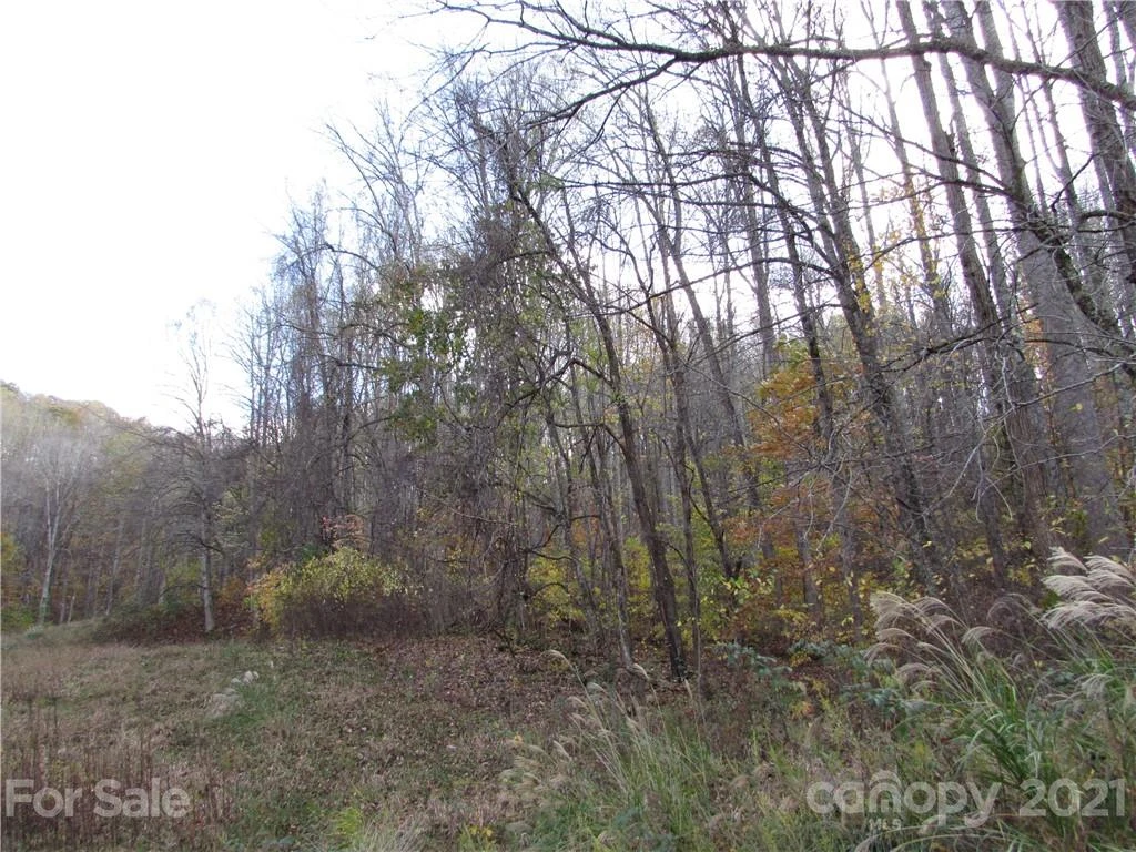 E- 3 Red Wolf Run None - Photo 3