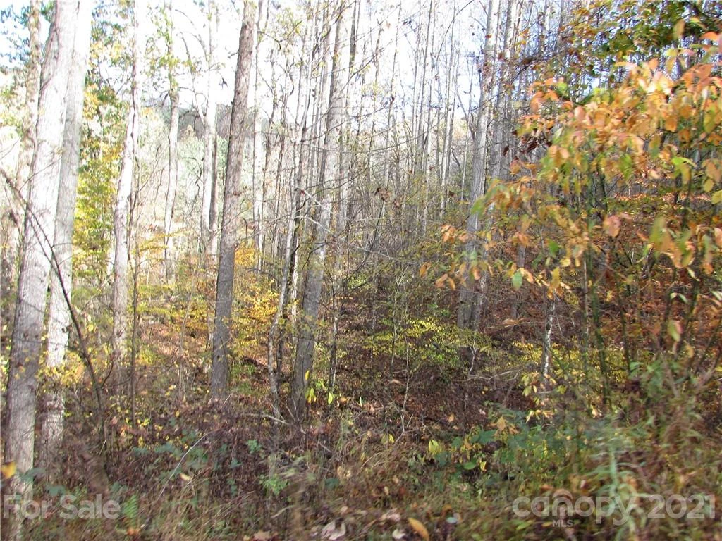 E- 3 Red Wolf Run None - Photo 5