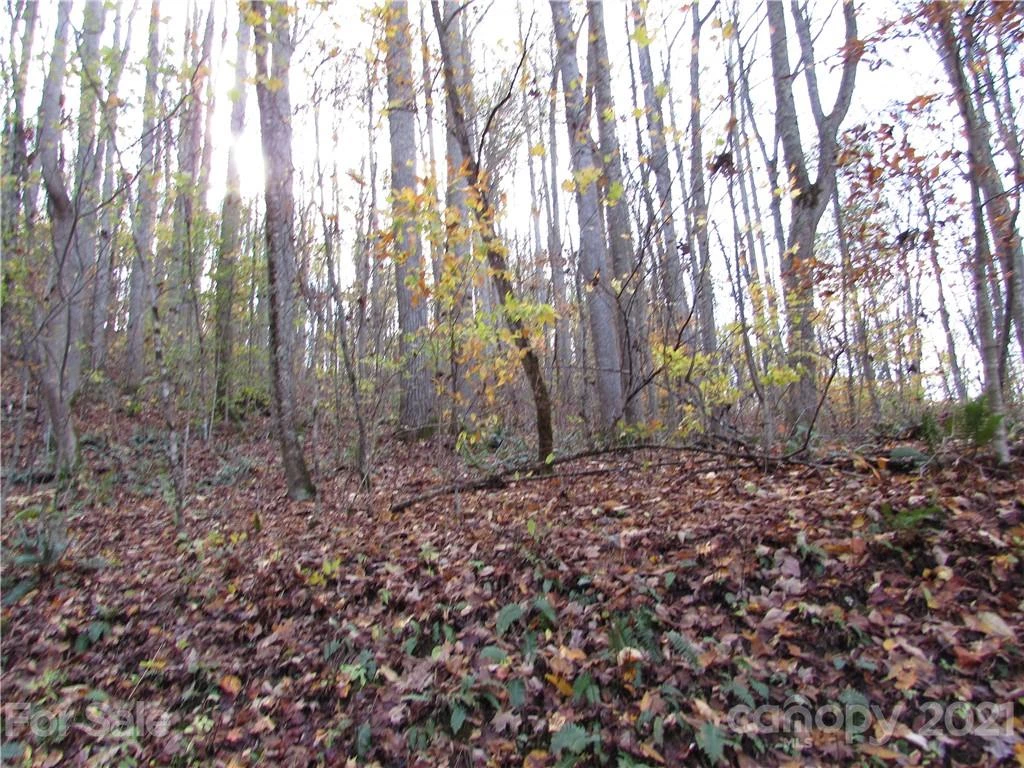 E- 3 Red Wolf Run None - Photo 6