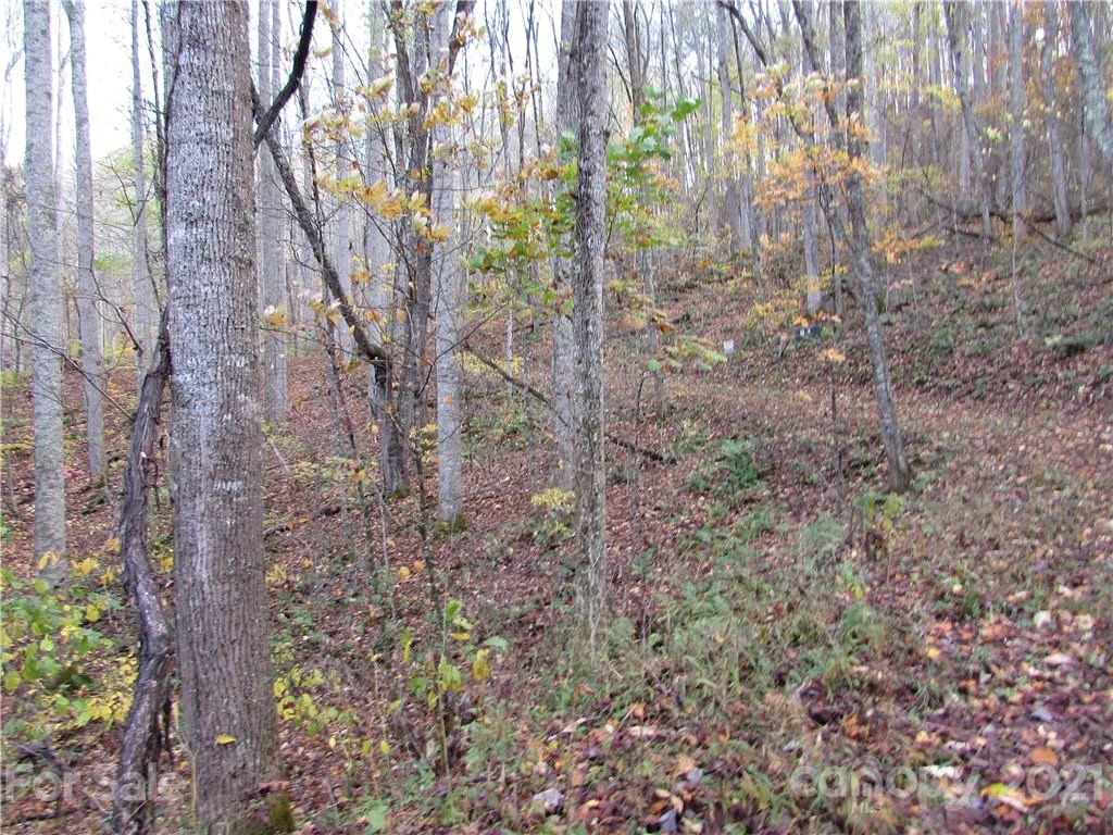 E- 3 Red Wolf Run None - Photo 7
