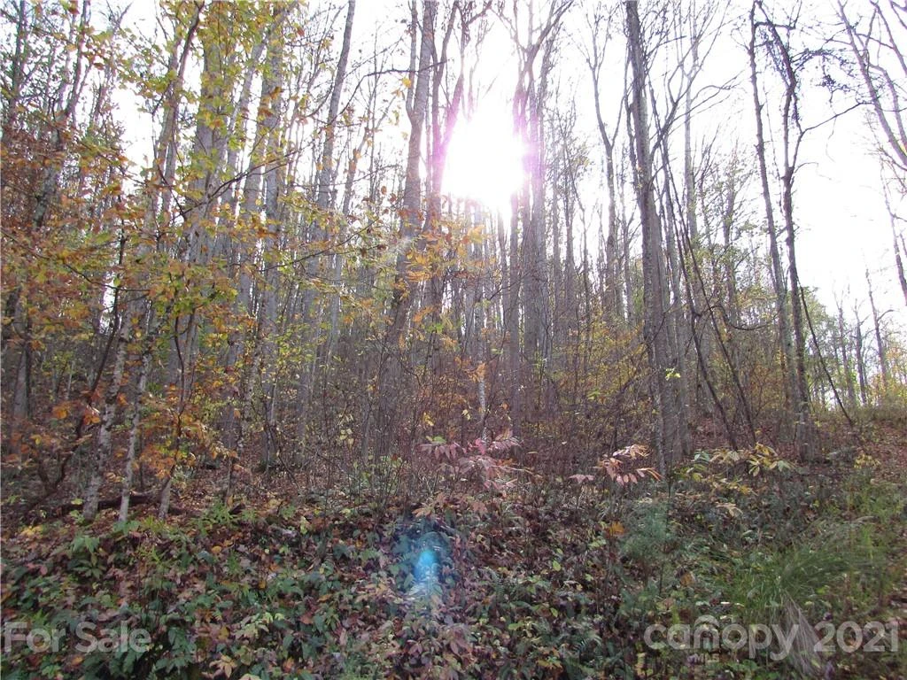 E- 3 Red Wolf Run None - Photo 8