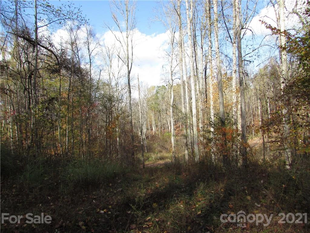 E- 3 Red Wolf Run None - Photo 9