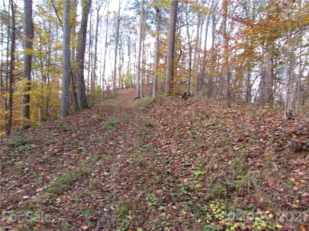 00 Red Wolf Run None #39