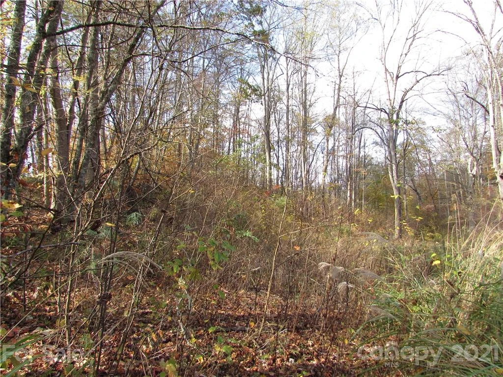 00 Red Wolf Run None #39 - Photo 2
