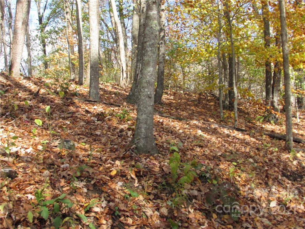 00 Red Wolf Run None #39 - Photo 11