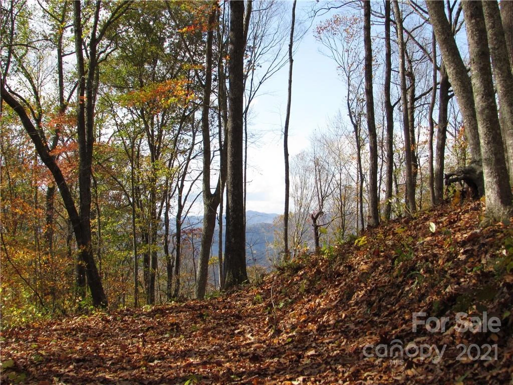 00 Red Wolf Run None #39 - Photo 12