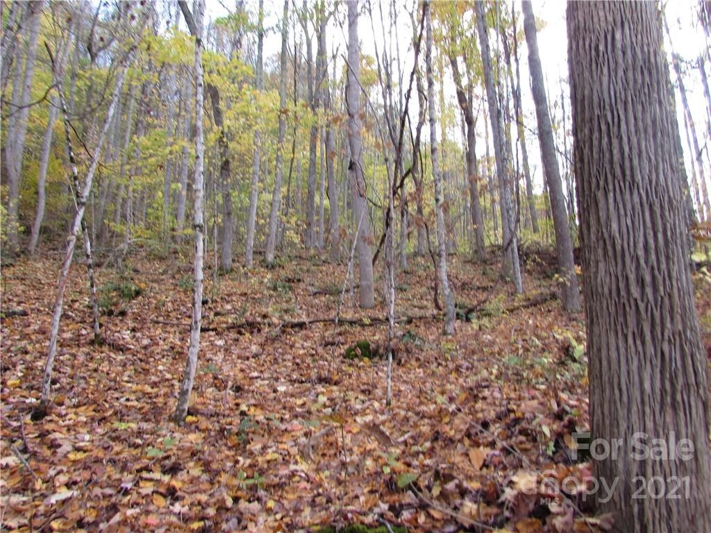 00 Red Wolf Run None #39 - Photo 13