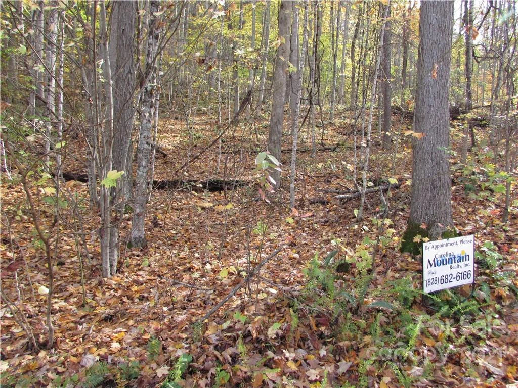 00 Red Wolf Run None #39 - Photo 14