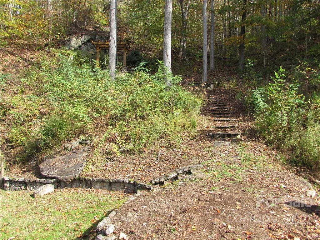 00 Red Wolf Run None #39 - Photo 23