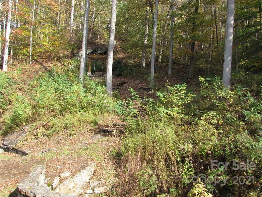 00 Red Wolf Run None #39 - Photo 24