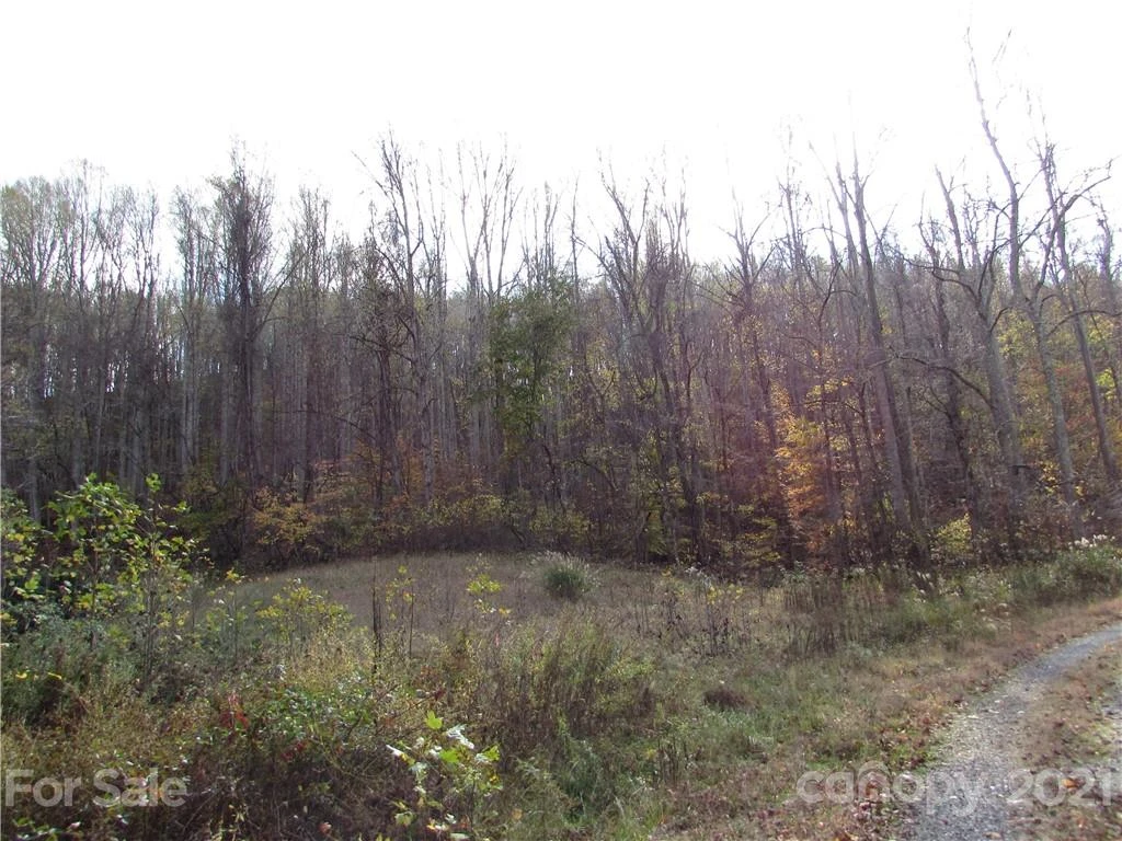 00 Red Wolf Run None #39 - Photo 25
