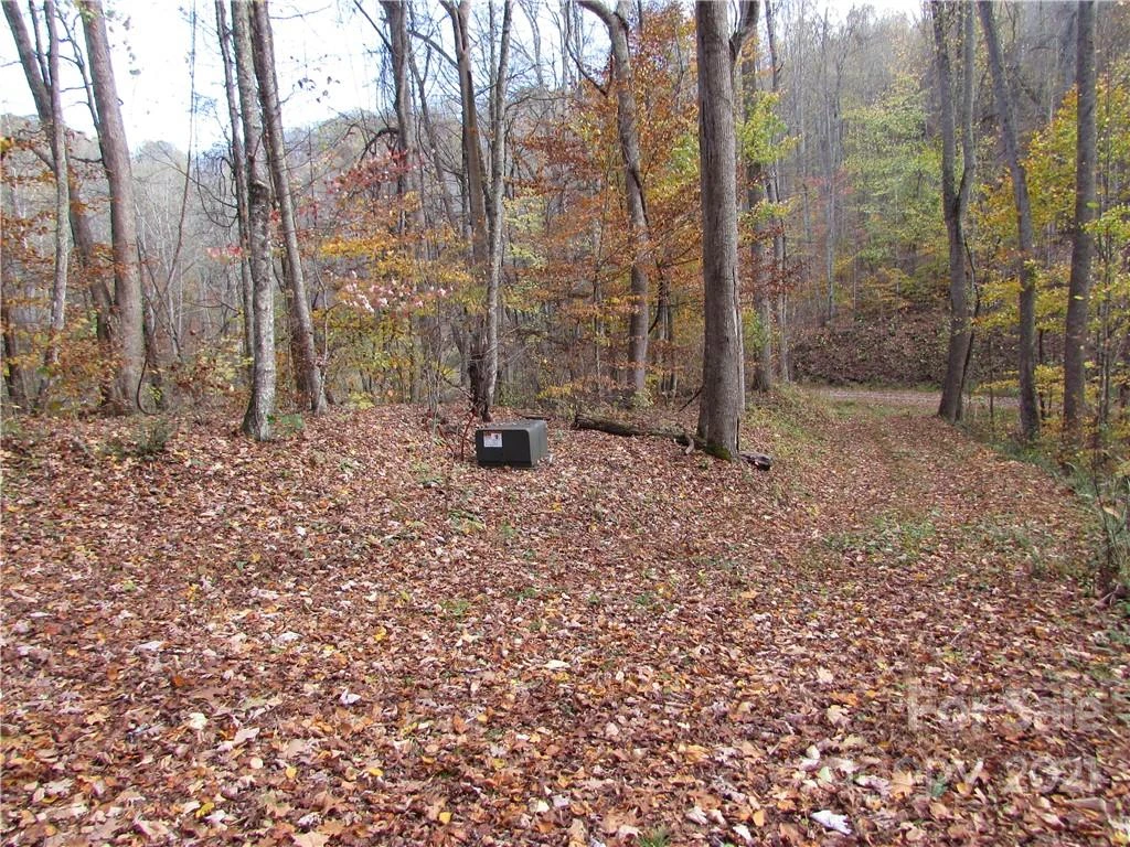 00 Red Wolf Run None #39 - Photo 4