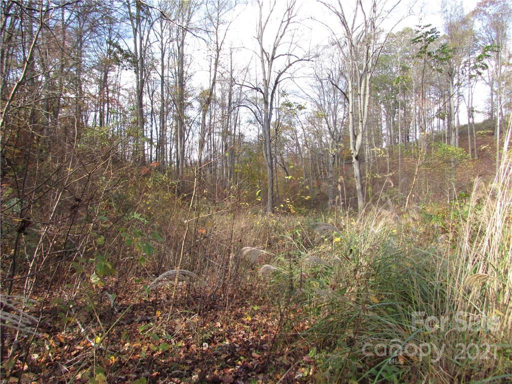 00 Red Wolf Run None #39 - Photo 5