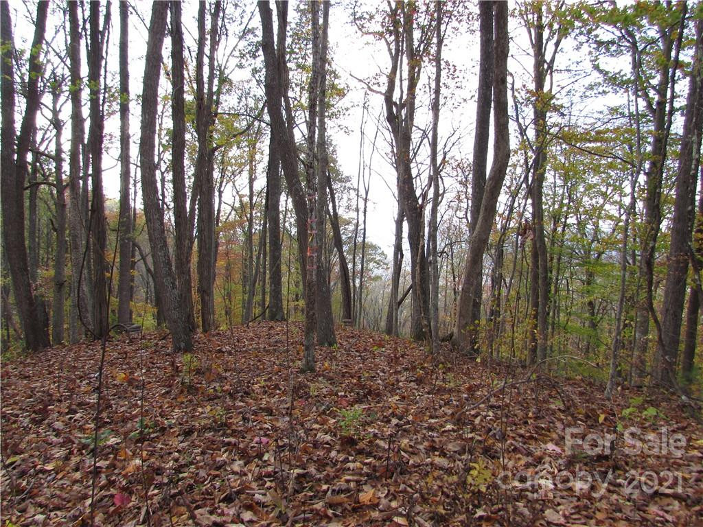 00 Red Wolf Run None #39 - Photo 6