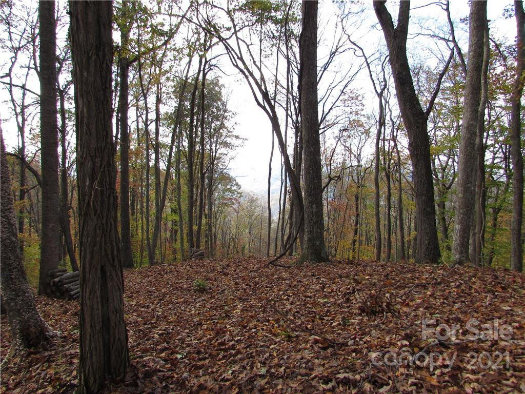 00 Red Wolf Run None #39 - Photo 8