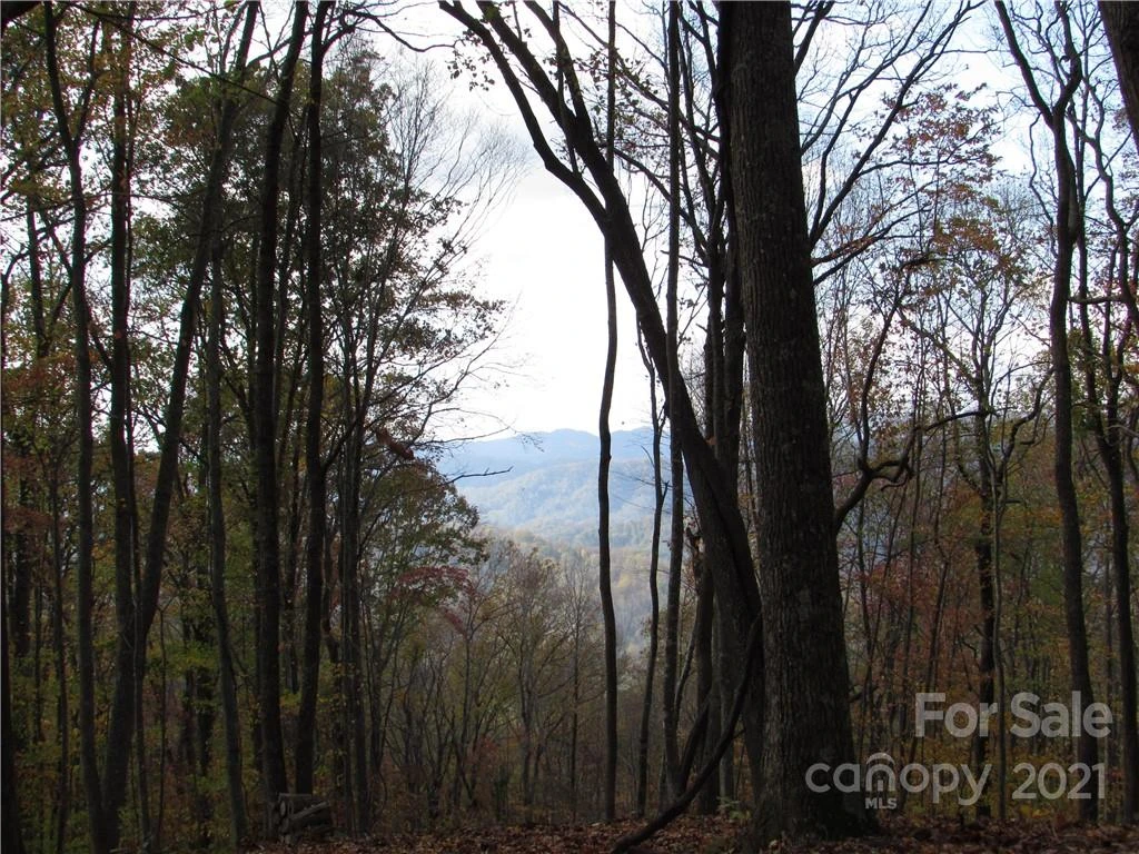 00 Red Wolf Run None #39 - Photo 9