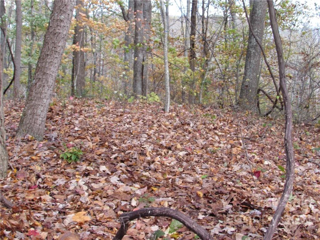 00 Red Wolf Run None #39 - Photo 10