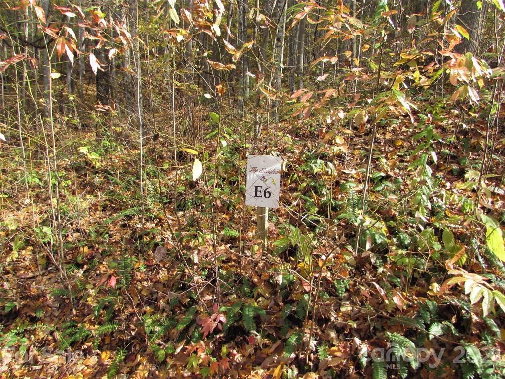 E- 6 Red Wolf Run None