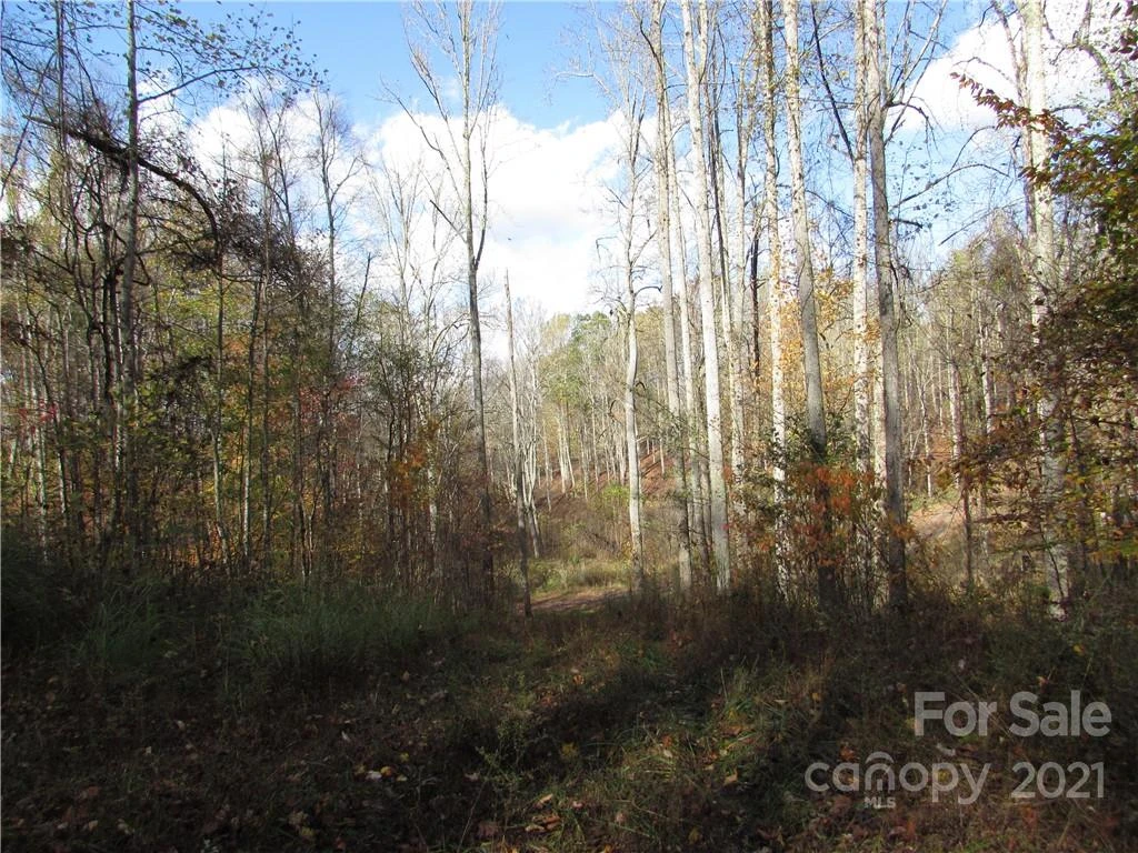 E- 6 Red Wolf Run None - Photo 18