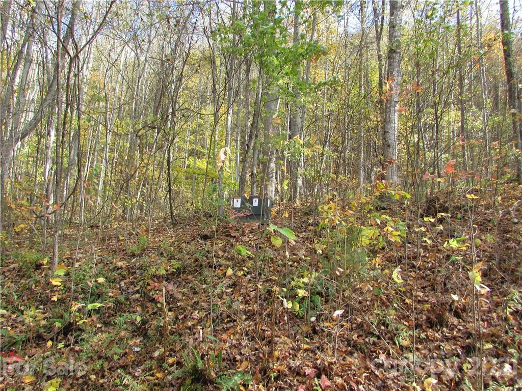 E- 6 Red Wolf Run None - Photo 3