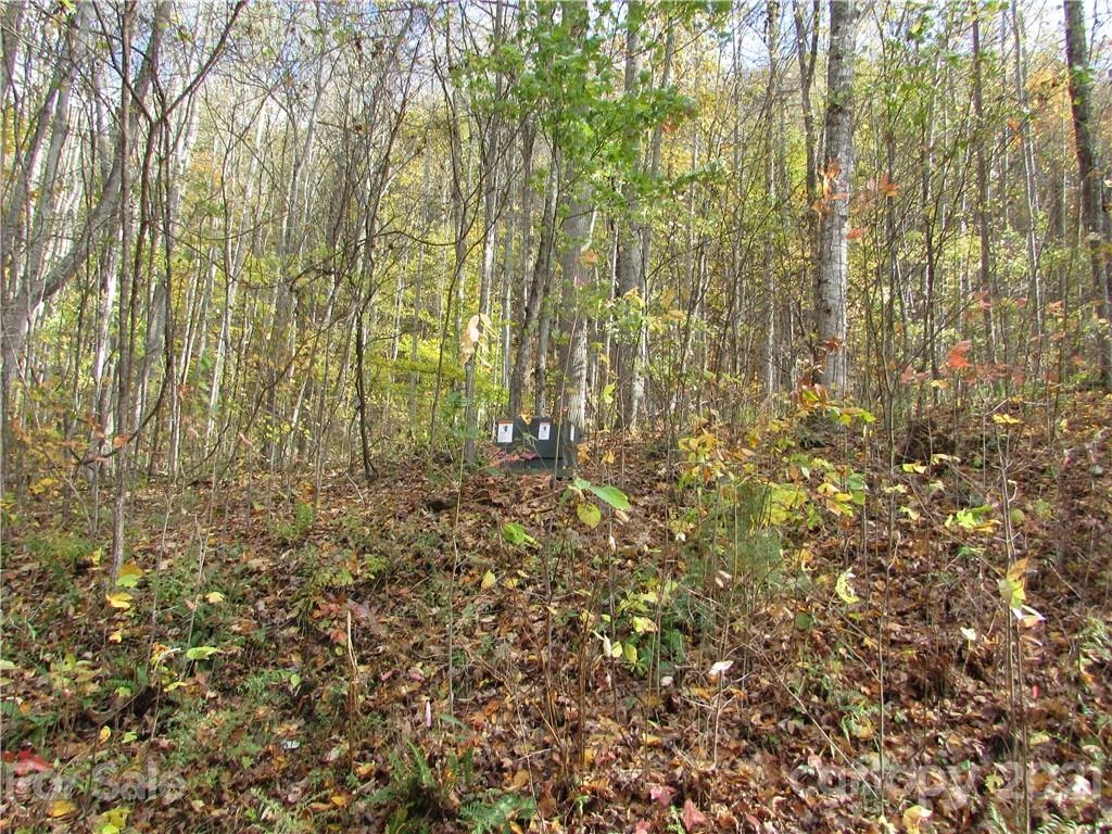 E- 6 Red Wolf Run None - Photo 3