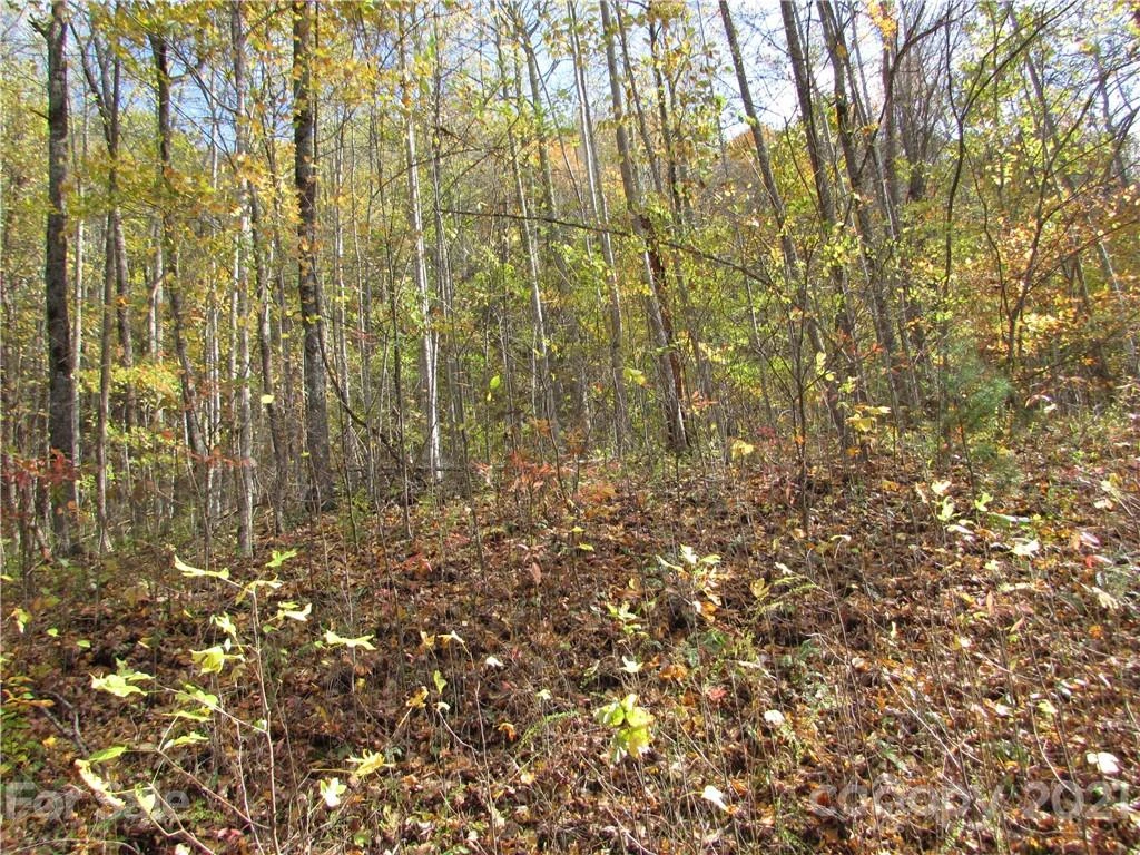 E- 6 Red Wolf Run None - Photo 5