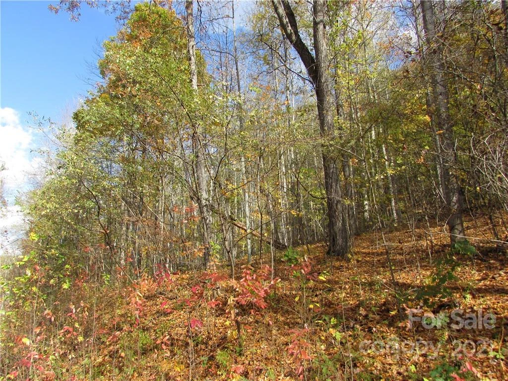 E- 6 Red Wolf Run None - Photo 7