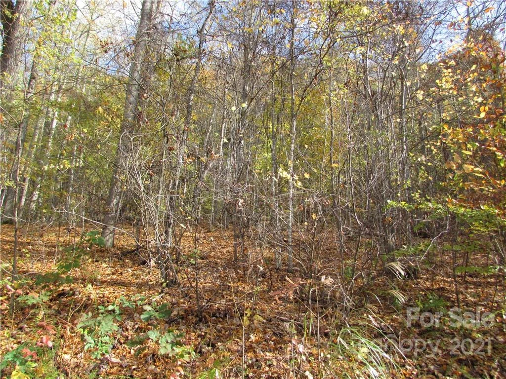 E- 6 Red Wolf Run None - Photo 8