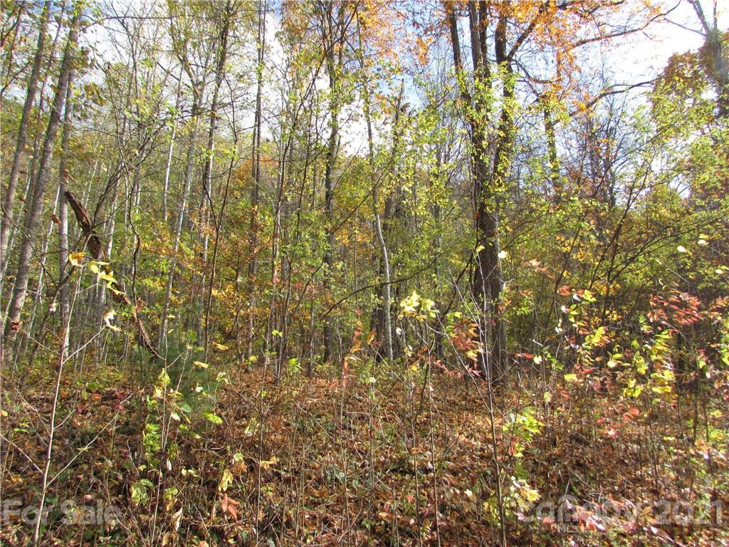 E- 8 Red Wolf Run None - Photo 3