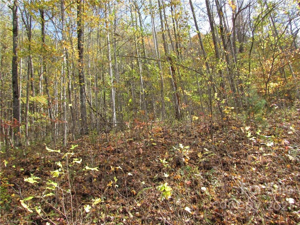 E- 8 Red Wolf Run None - Photo 4