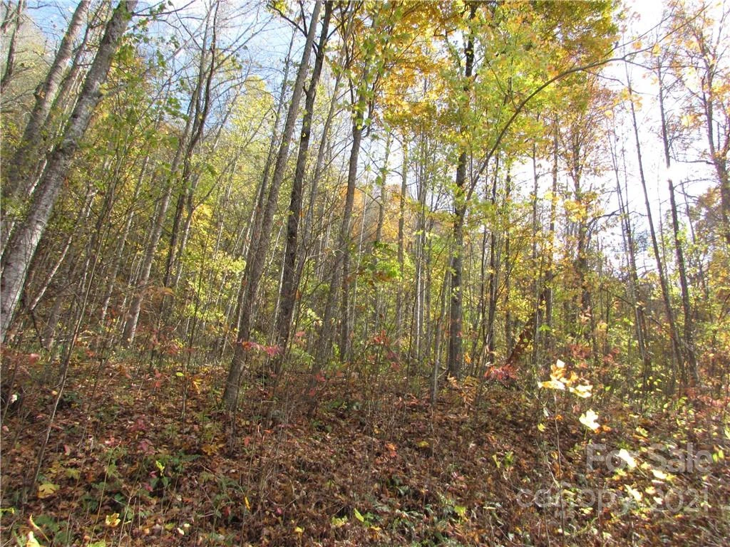 E- 8 Red Wolf Run None - Photo 5