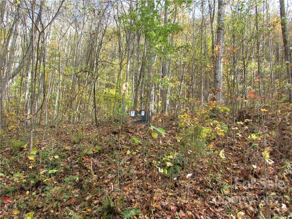 E- 8 Red Wolf Run None - Photo 6