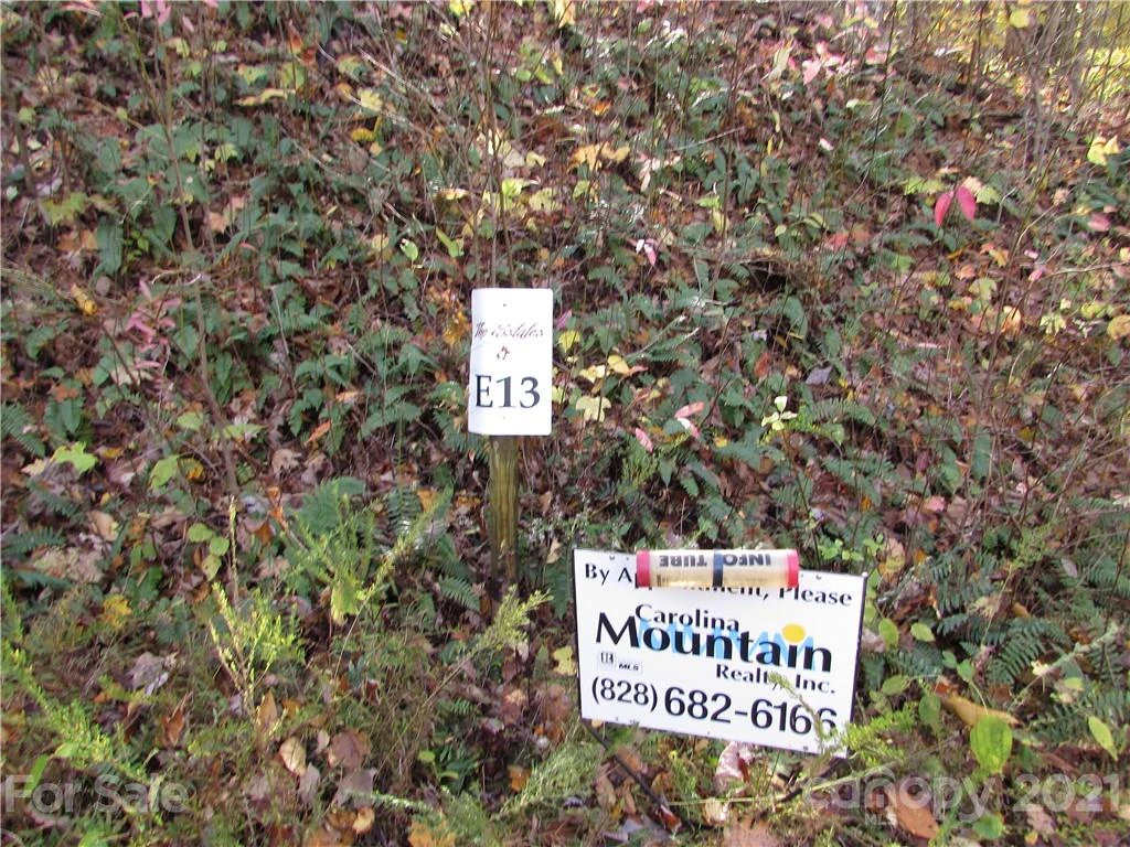 E- 13 Red Wolf Run None - Photo 2