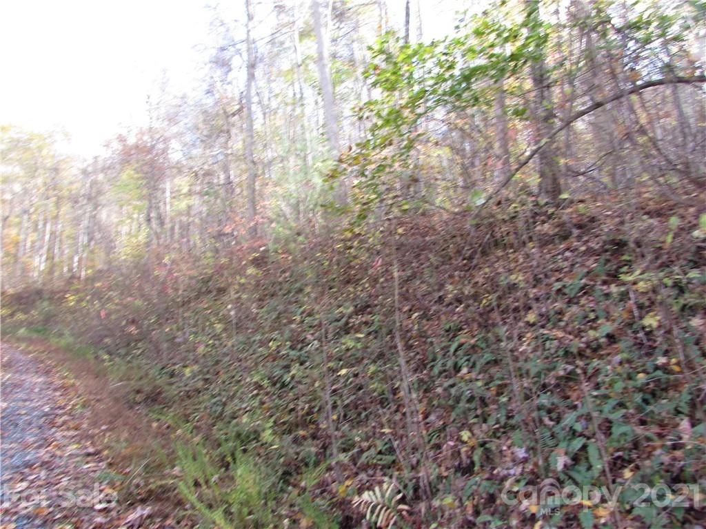 E- 13 Red Wolf Run None - Photo 3