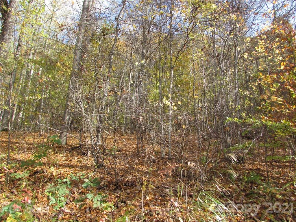 E- 13 Red Wolf Run None - Photo 4