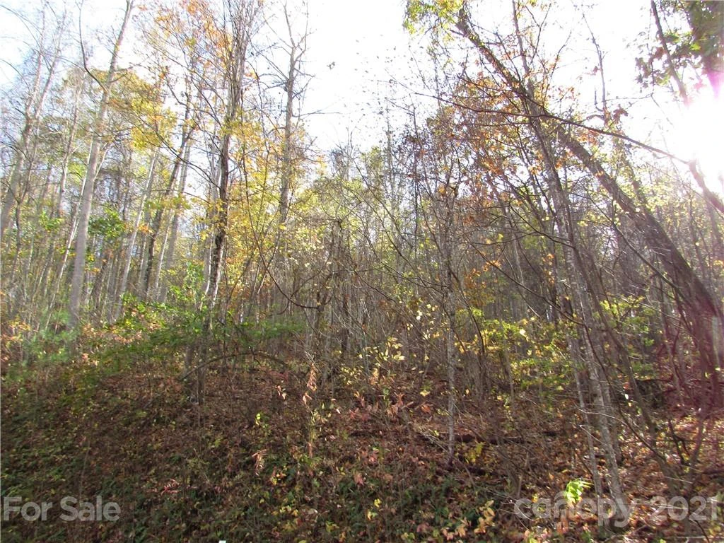 E- 13 Red Wolf Run None - Photo 7