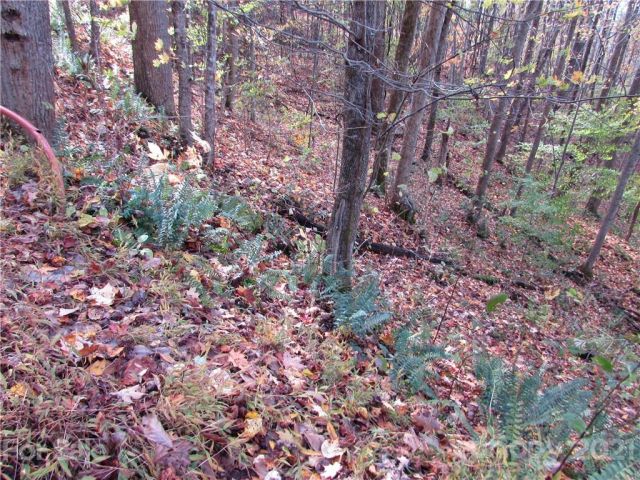 E- 15 Red Wolf Run None