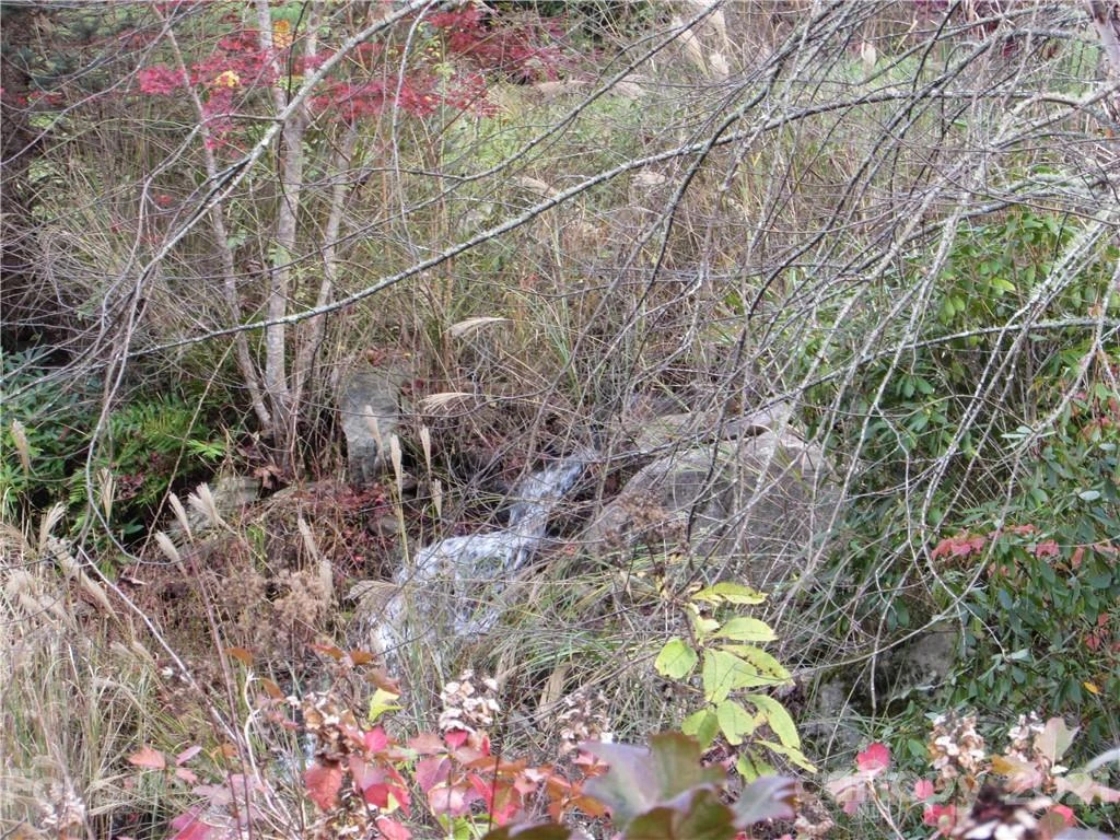 E- 15 Red Wolf Run None - Photo 15
