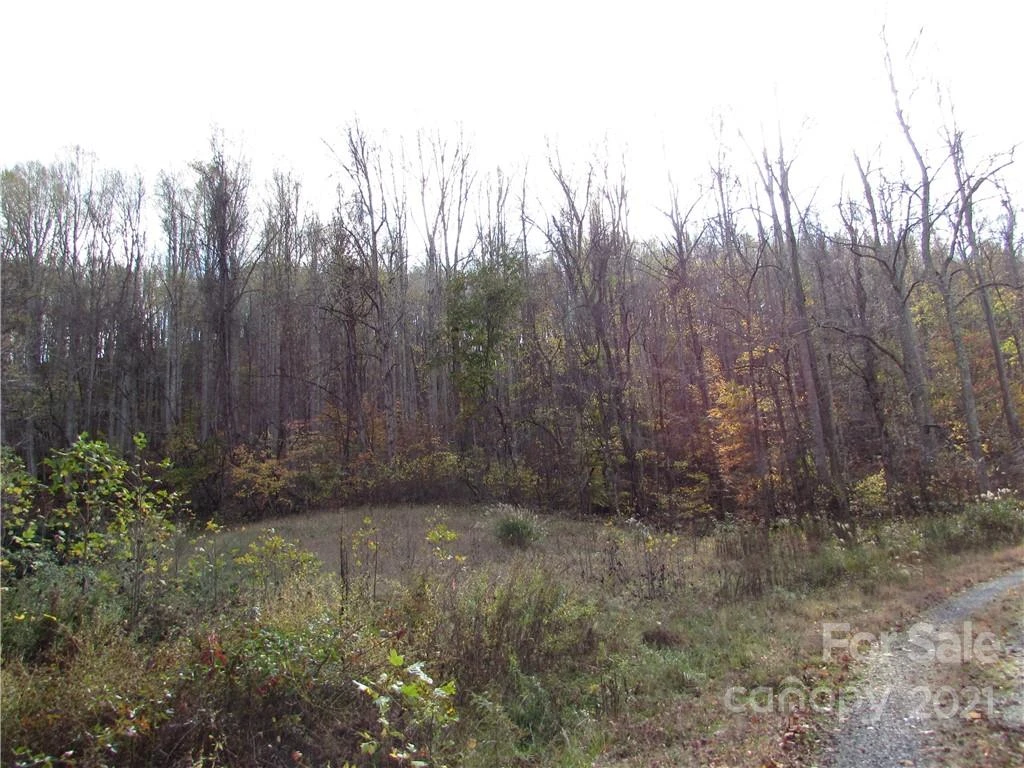 E- 15 Red Wolf Run None - Photo 20