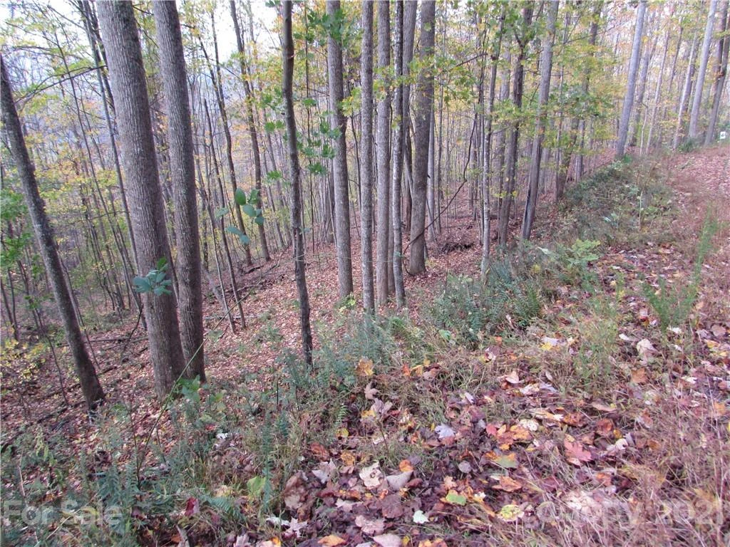 E- 15 Red Wolf Run None - Photo 3