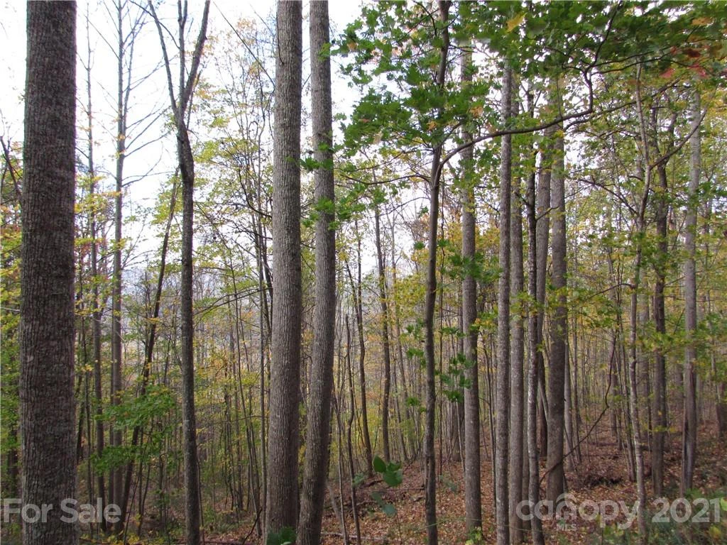 E- 15 Red Wolf Run None - Photo 4