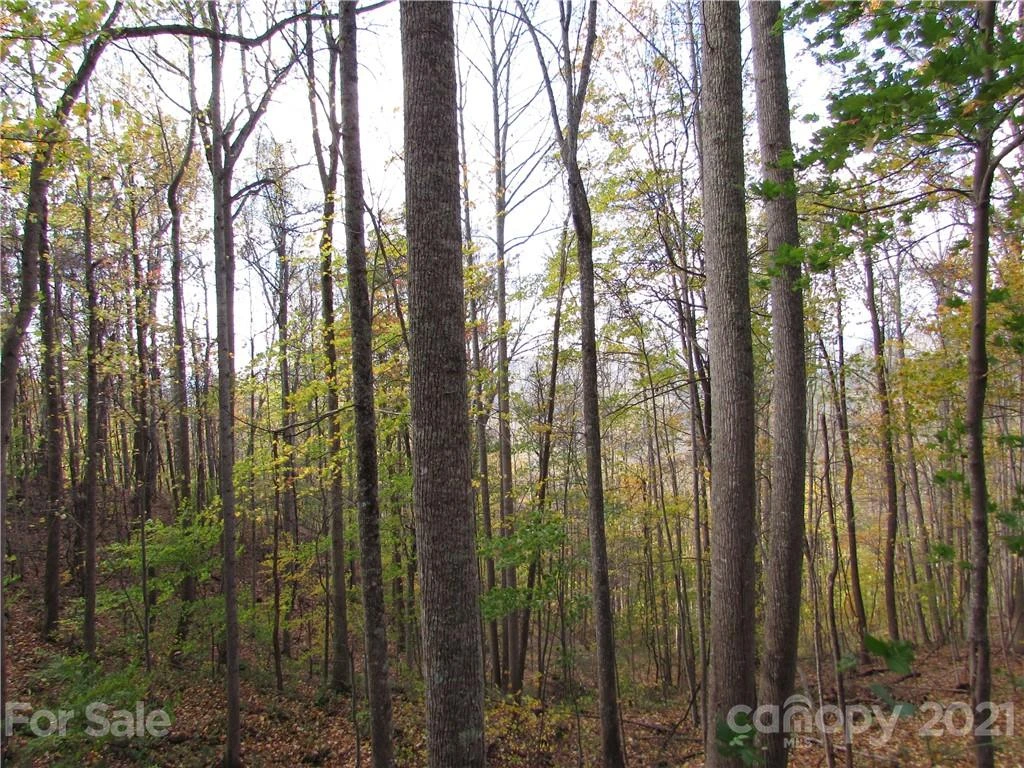E- 15 Red Wolf Run None - Photo 5