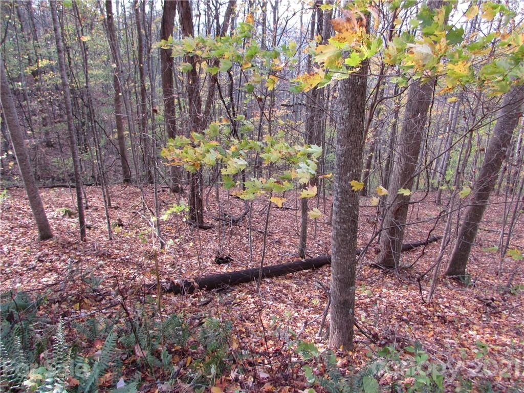 E- 15 Red Wolf Run None - Photo 6