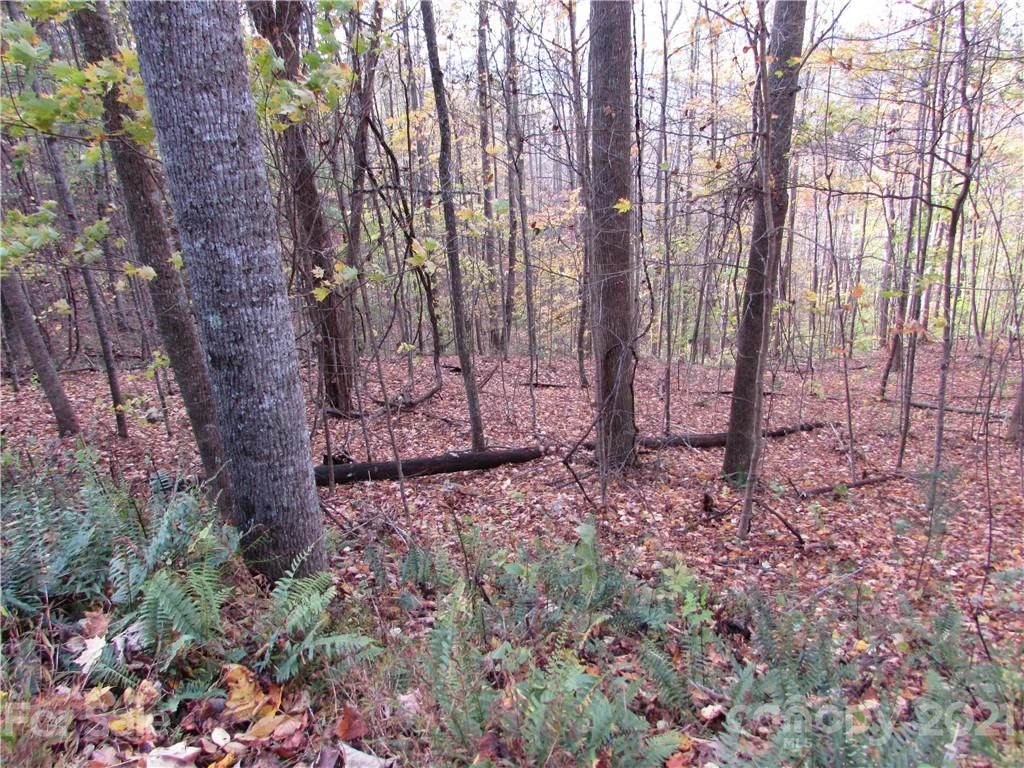 E- 15 Red Wolf Run None - Photo 7