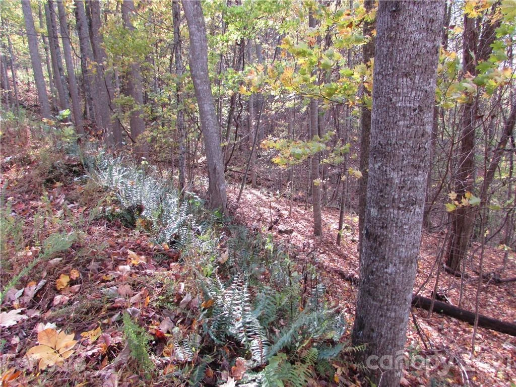 E- 15 Red Wolf Run None - Photo 8