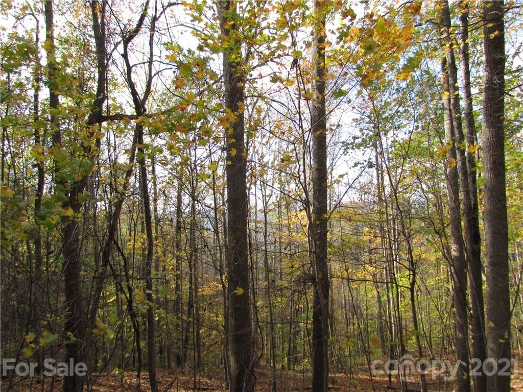 E- 15 Red Wolf Run None - Photo 9