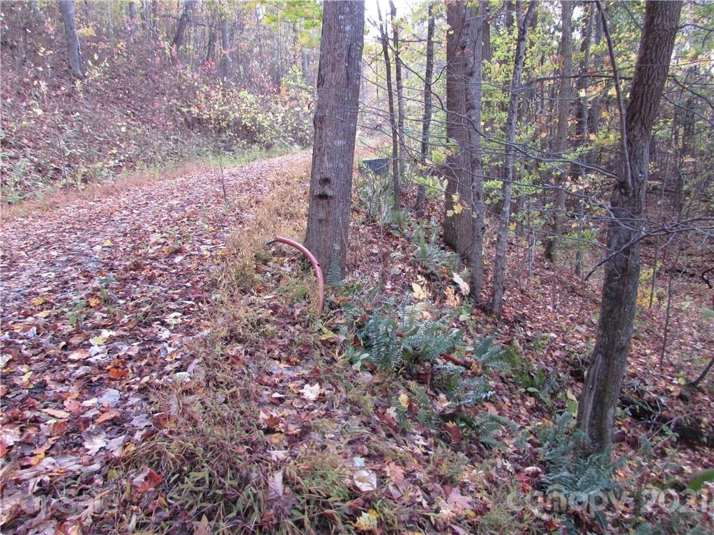 E- 15 Red Wolf Run None - Photo 10