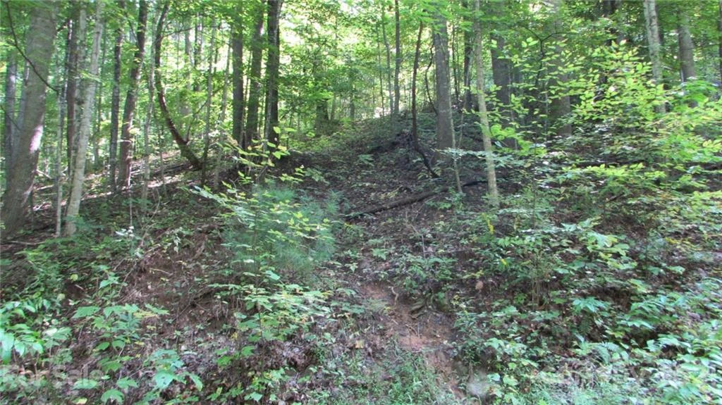 E- 17 Red Wolf Run None - Photo 11