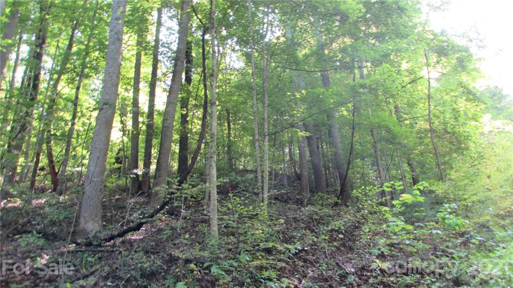 E- 17 Red Wolf Run None - Photo 13